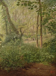 Une Clairière dans les Bois